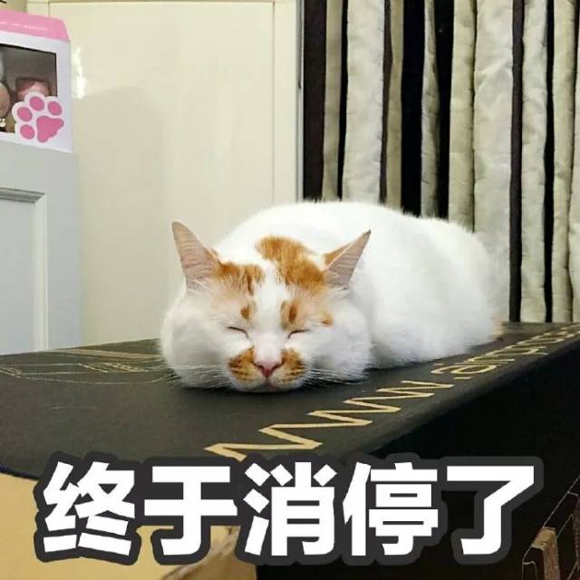 你的表情包楼楼猫真的回喵星球了!挥泪告别!