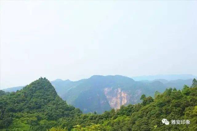 据《芦山县志》记载 灵鹫山盛产茶叶 古名灵山,隋,唐时称为卢山 芦山