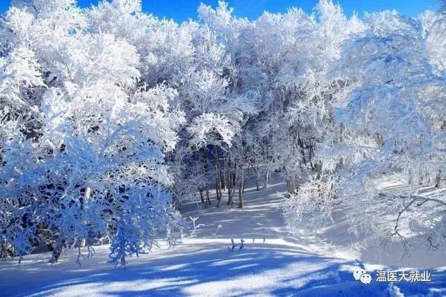 【品读】川端康成《雪国》