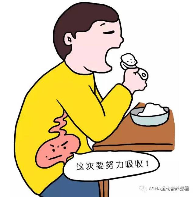 节食减肥?你可能减了假肥