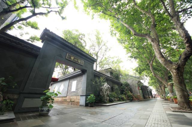 秋韵入画,叶落景美!杭州这15条道路白天不扫落叶,请赏图片