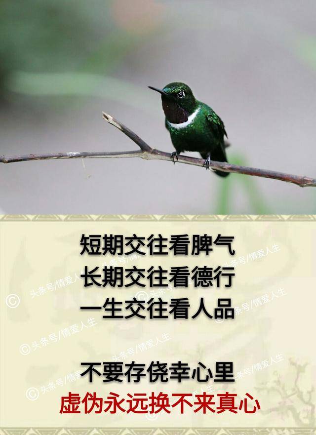 一生交往看人品,虚伪永远换不来真心.(鸡汤美文)