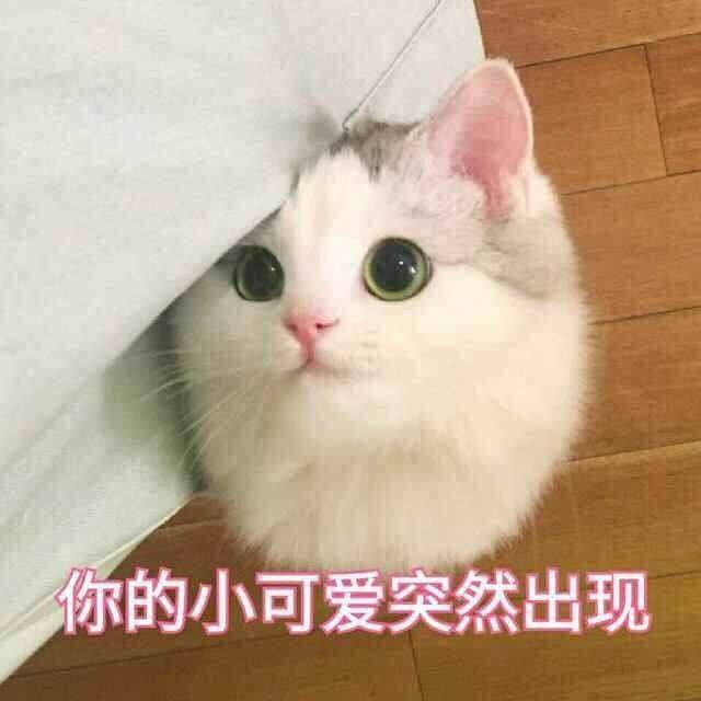 还是好可爱啊~~小可爱~~~~ 不对!清醒一点.现在可不是融化的时候.