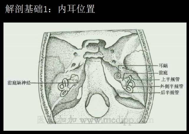 专业分享 | 耳石症复位疗法权威专家肖立智主任课程内容精彩回顾
