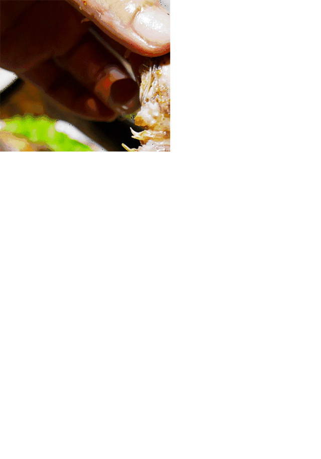 640_914竖版 竖屏gif 动态图 动图