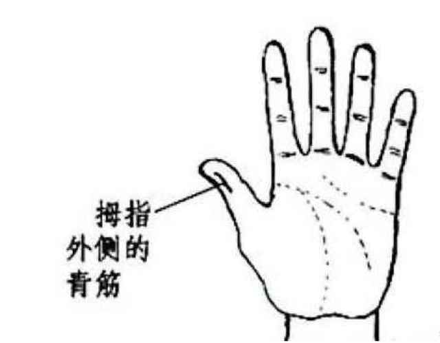 中医手诊的精髓,爱八方亲自传授,手诊系列之根据青筋判断疾病
