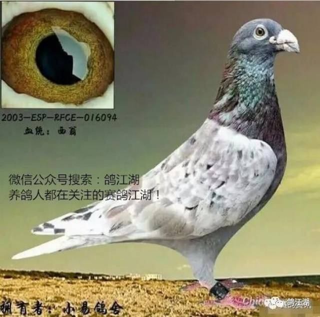 ŸڵĶ̸ ٸ߷ҺٶȵѶ!
