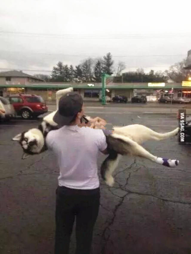 Ӧҵƽн5074ԪĦҵнʹϺû