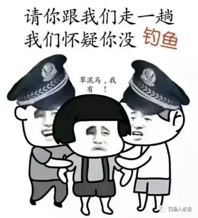 2017钓鱼人专属表情包又双叒来袭啦