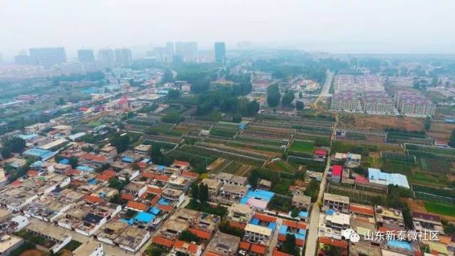 《新泰市村落地名志》汶南镇杨家洼村