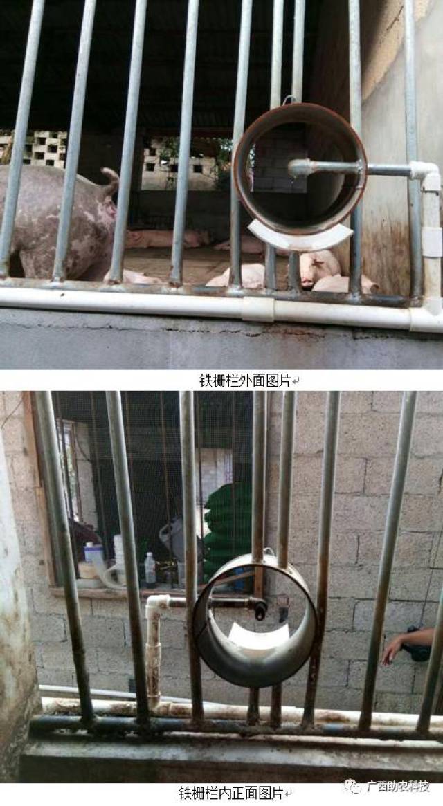 桂林市荔浦县对传统猪舍改饮水滴漏外排装置的几种模式
