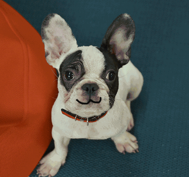 你有多久没有认真地表达过自己的情感?|Emoji在悄悄改变什么