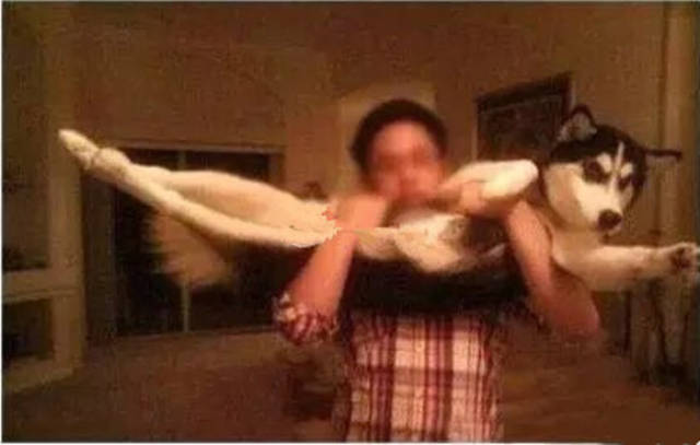 Ӧҵƽн5074ԪĦҵнʹϺû