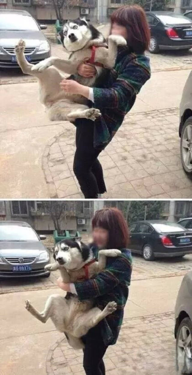 Ӧҵƽн5074ԪĦҵнʹϺû