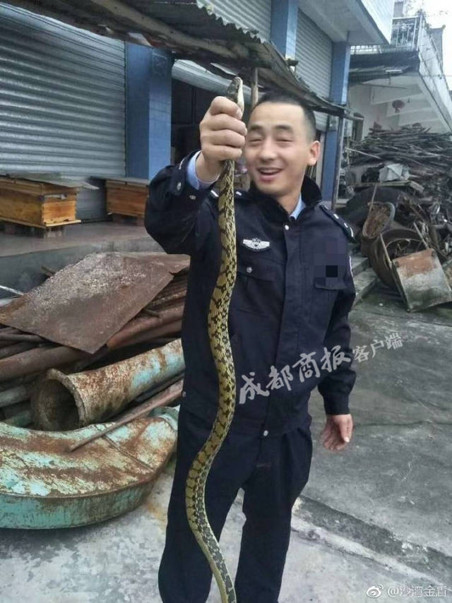 Ӧҵƽн5074ԪĦҵнʹϺû