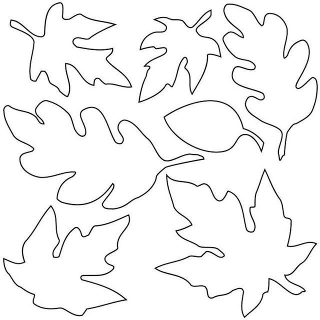 秋天的树叶可以做漂亮的墙壁装饰,这可是孩子的最爱