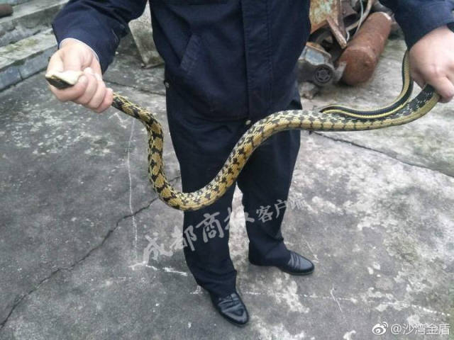 Ӧҵƽн5074ԪĦҵнʹϺû