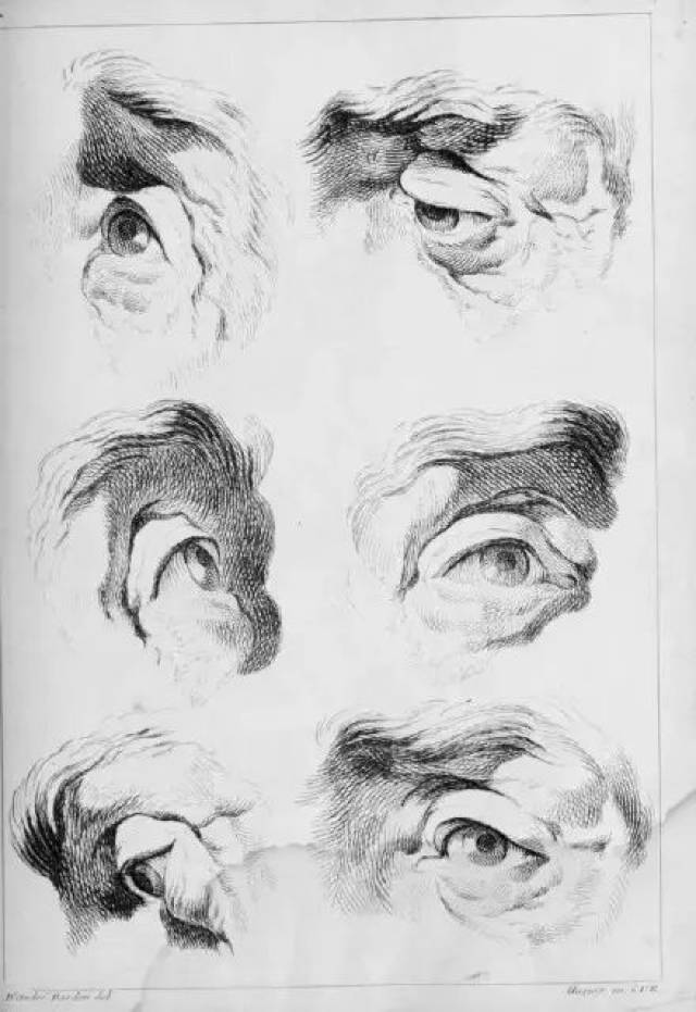 速写| 人物五官刻画如何画得生动?