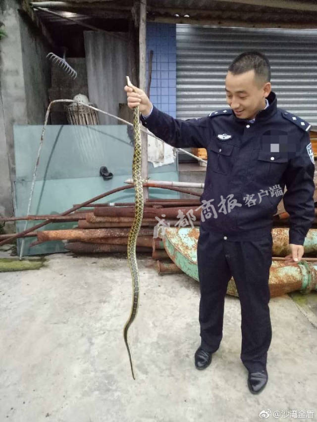 Ӧҵƽн5074ԪĦҵнʹϺû