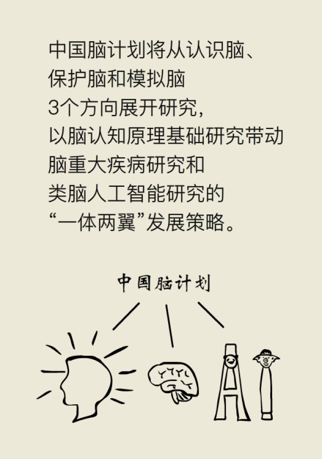 脑计划 搜狐网