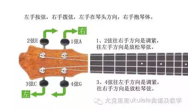 尤克里里新手入门第一课识琴调音