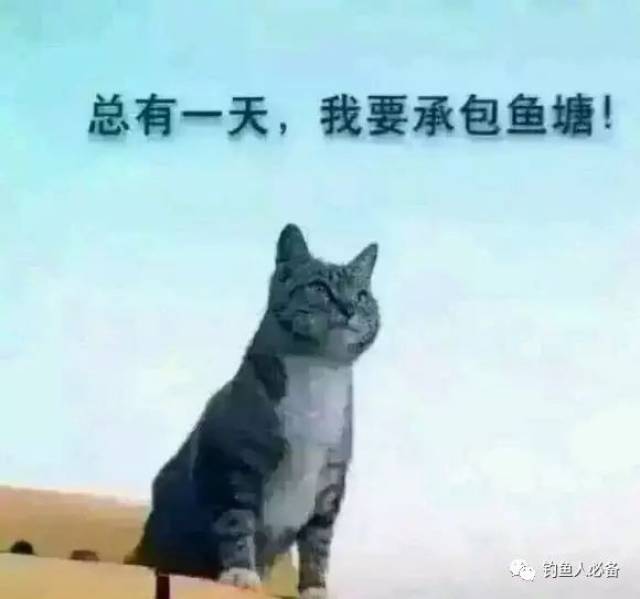 2017钓鱼人专属表情包又双叒来袭啦