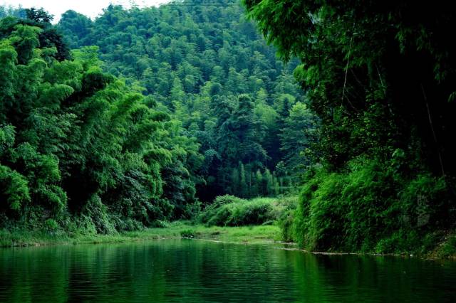 看历史的风风雨雨 ▲宜宾博物馆 n ature:自然 蜀南竹海,兴文石海