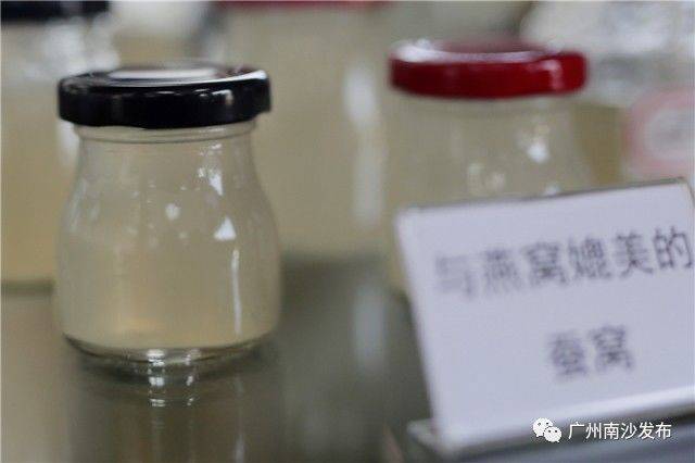 【关注】果味醒神水、蚕丝骨钉……这些高科技