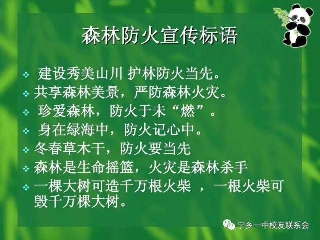 森林护我家,防火靠大家—— 宁乡一中森林防火宣传知识