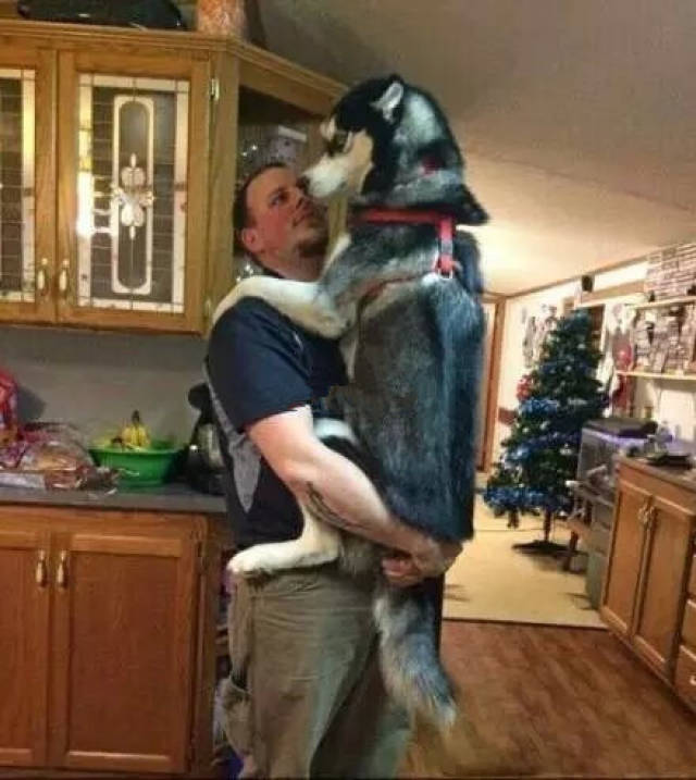 Ӧҵƽн5074ԪĦҵнʹϺû