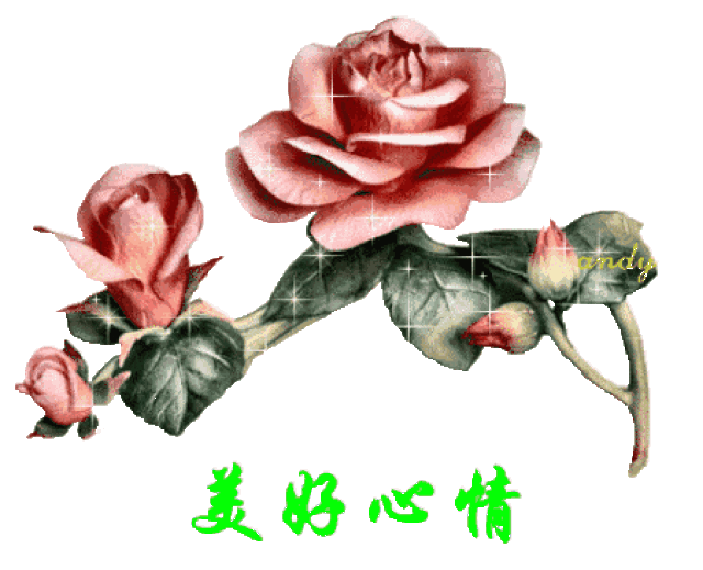 早上好一曲《祝你幸福》 ● 最美的祝福送给你,越快打开越好!