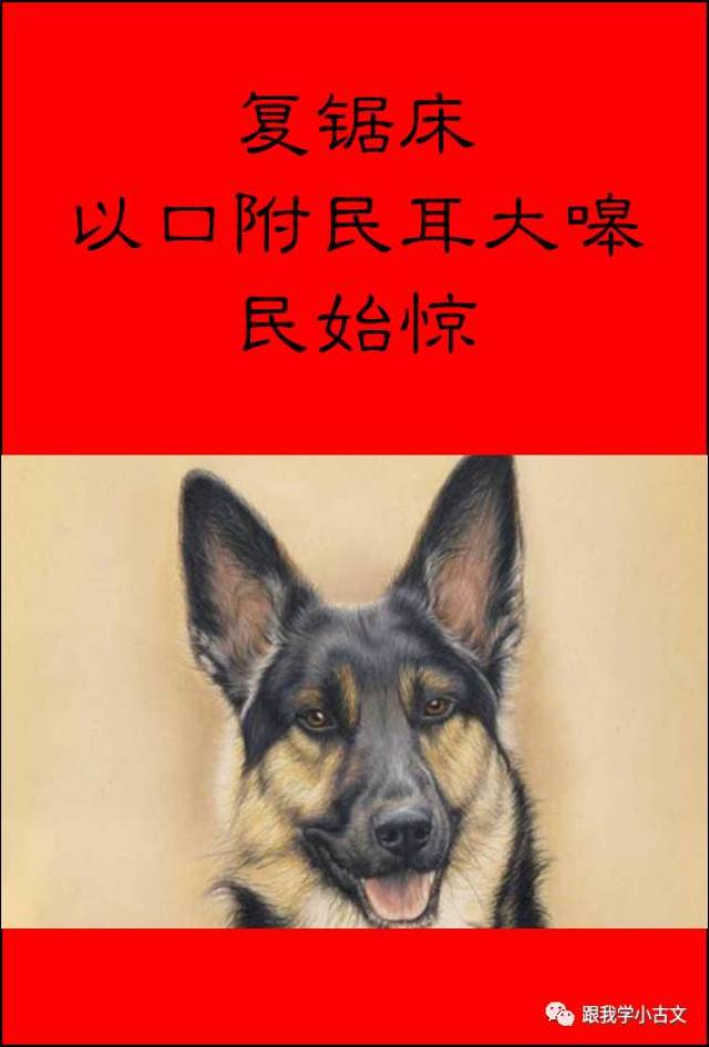 【跟我读小古文】44.义犬救主