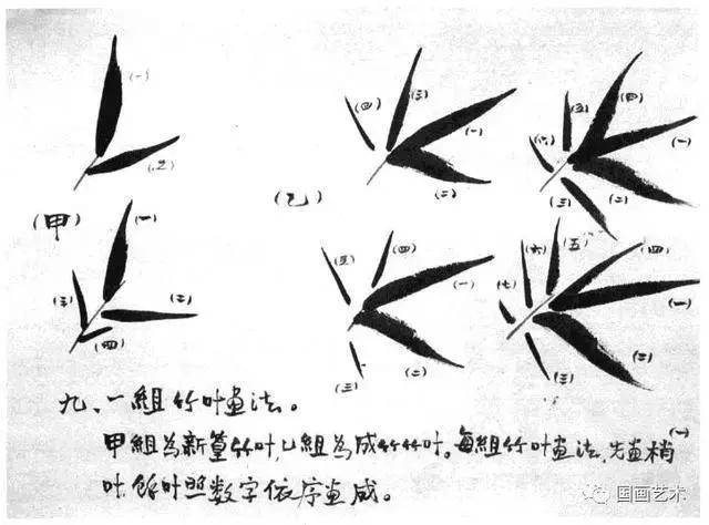 写意花鸟画教程之竹子的画法,国画技法教程竹子画法示例