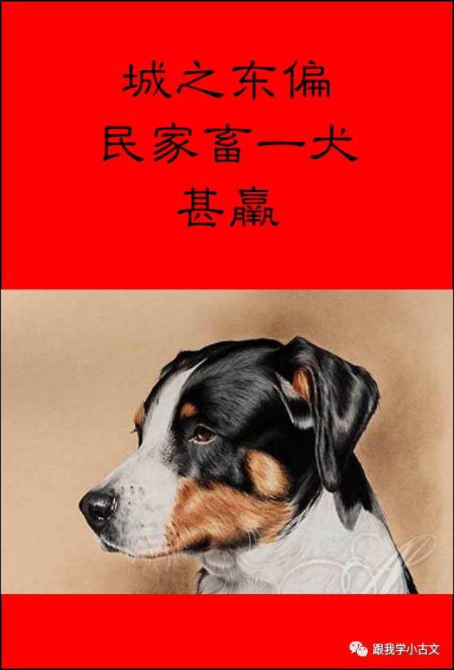 【跟我读小古文】44.义犬救主