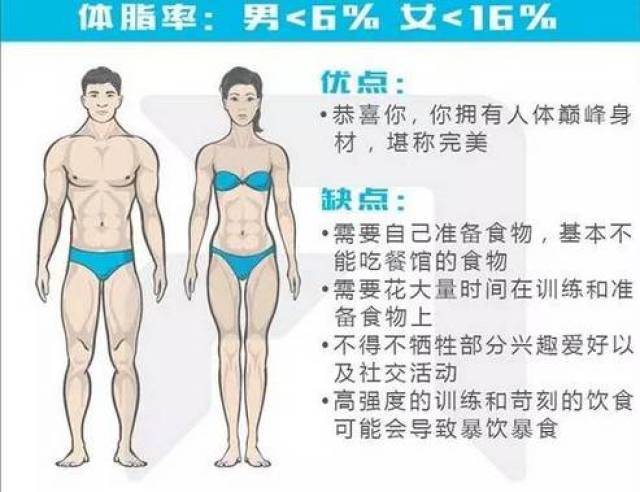 体脂率:男 6% 女 16%