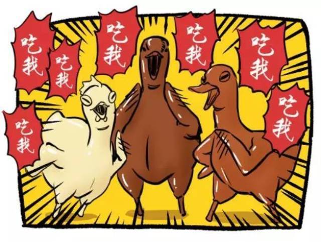 健康丨鸡鸭鹅,猪牛羊,哪种肉营养价值更高?