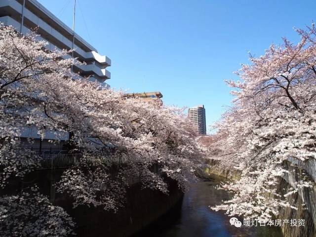 江户川公园