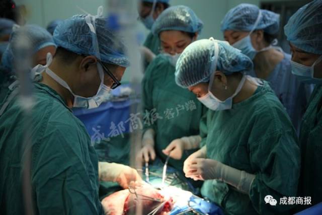 女子怀孕8个月浑然不知,每个月都来“月经”!一查竟然得了这种