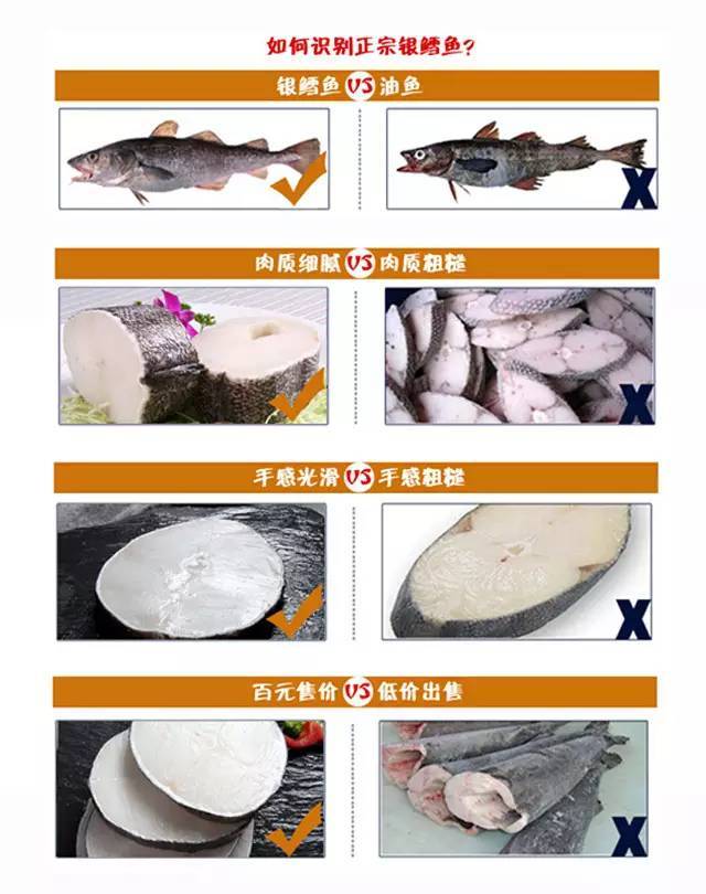 这几种鱼的基础价格是这样排序的:黑鳕>银鳕>真鳕≈油鱼>黑线鳕