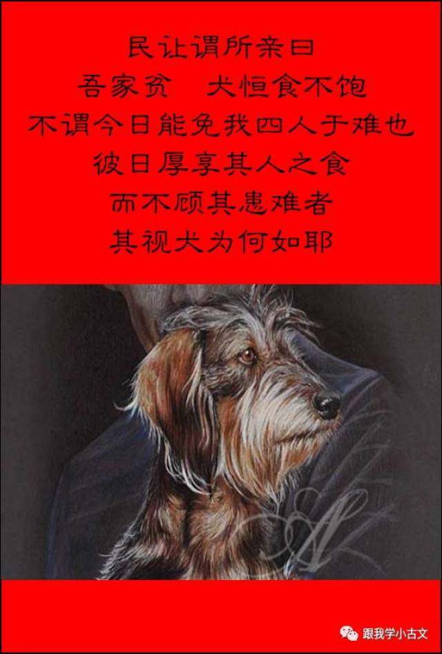 【跟我读小古文】44.义犬救主