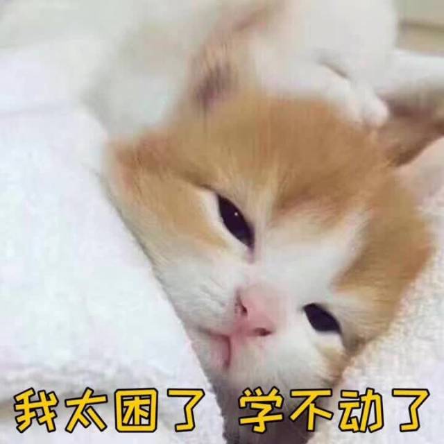十分钟后开始头脑发胀 二十分钟后睡眼朦胧却又极力挣扎绝不认输 三十