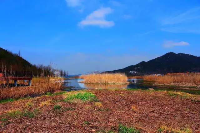 马山湿地