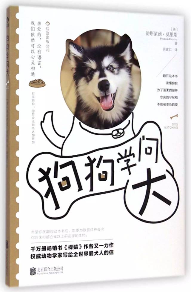 猫为什么跳楼?狗为什么摇尾巴?