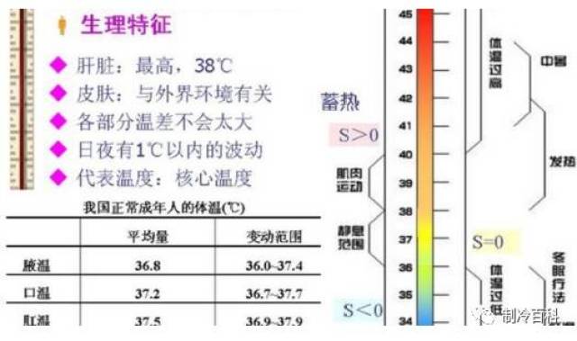 人体的基本生理要求:维持体温基本恒定.