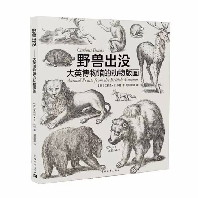 小编荐书:野兽出没 | 我知道你的品味独特