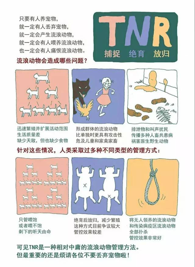 猫为什么跳楼?狗为什么摇尾巴?