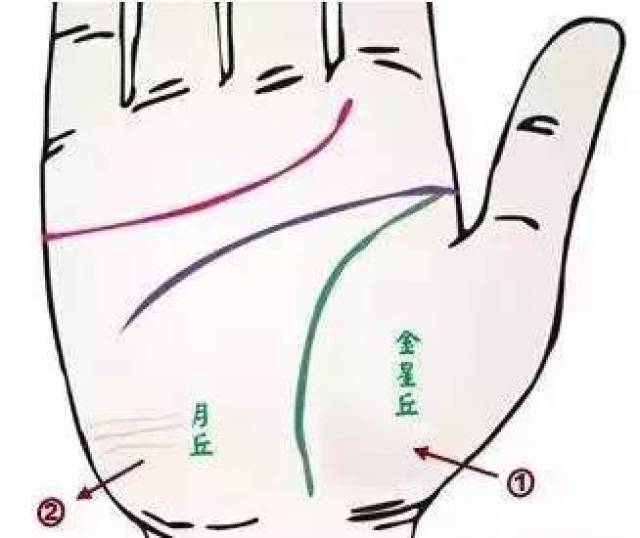 手诊口诀:健康状况,就在手上,一目了然,人人都能学的会!