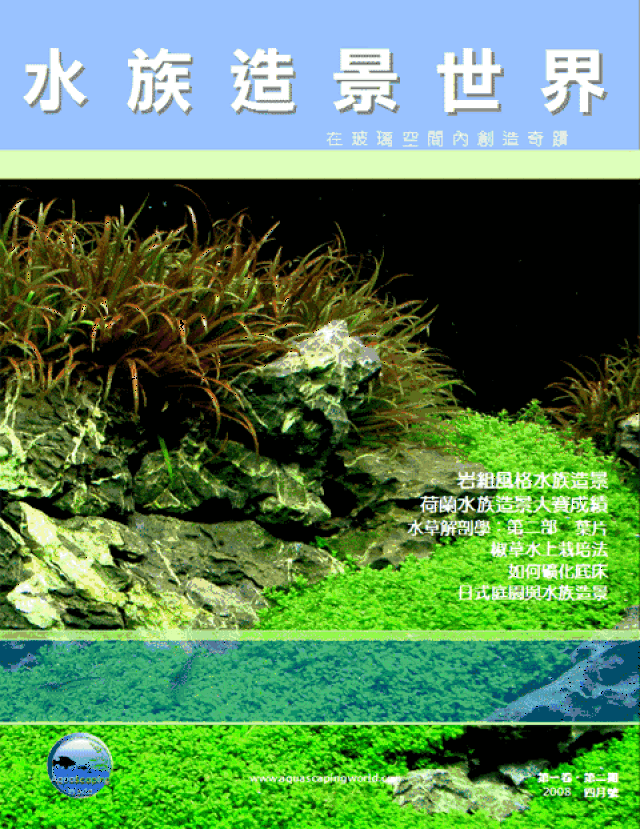 480_622 竖版 竖屏 