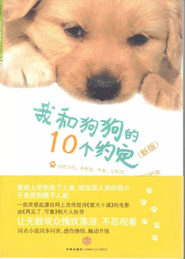 猫为什么跳楼?狗为什么摇尾巴?