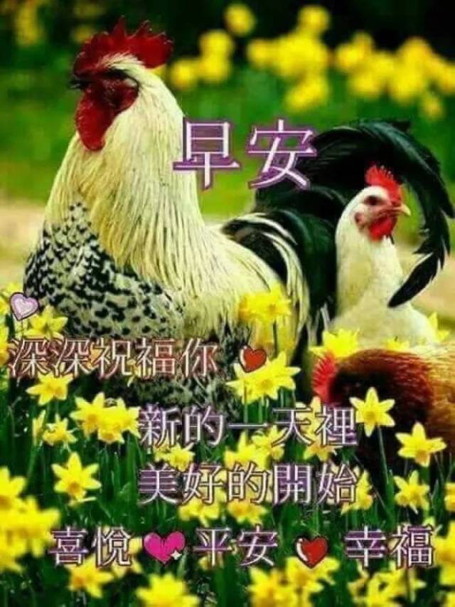 周末快乐动态表情包 周末早安祝福语图片最新